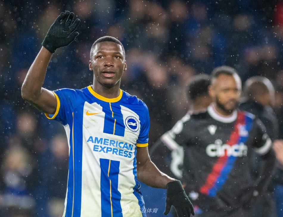 文化教育的 文化教育的